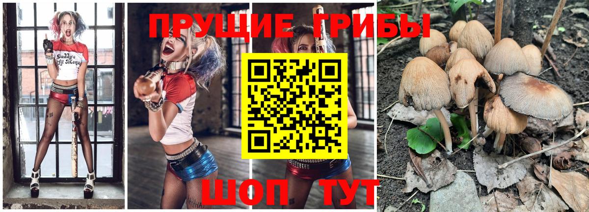 Лабытнанги  что такое наркотик  Вход с VPN  Галлюциногенные грибы Psilocybine cubensis 